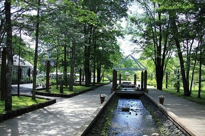 20100703160355ebc.jpg