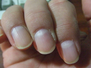 2010_1219YKO0010.JPG