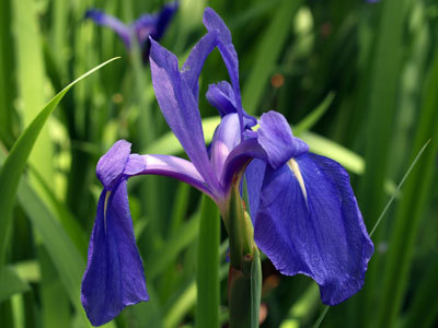 20140527_1156782.jpg