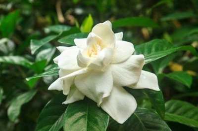 4dd00a662c734365d8efd7bb590f30f0-480x320.jpg