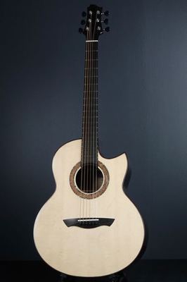 Akira Acoustic A3 cutaway custom500.jpg