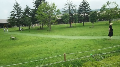 DSC_0215.JPG