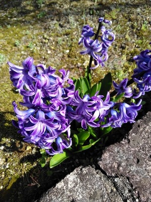 IMG_20210317_093407.jpg