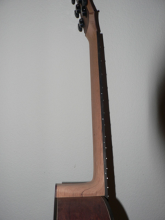 N1.png