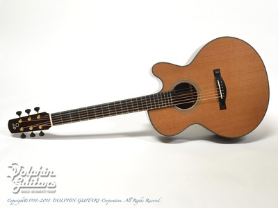 SANTA CRUZ FS.jpg