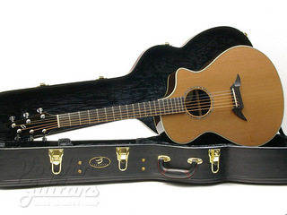 breedlove_c25-cr.jpg