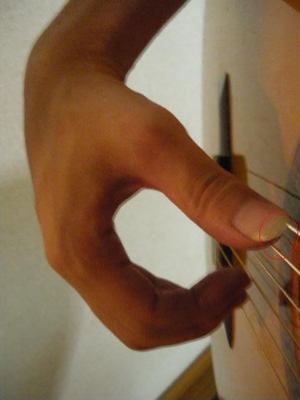 p4.jpg